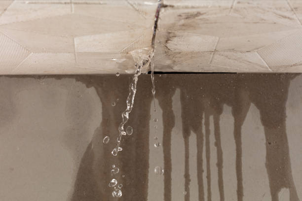 Professional Water Damage Restoration technician working in Wilder, TN